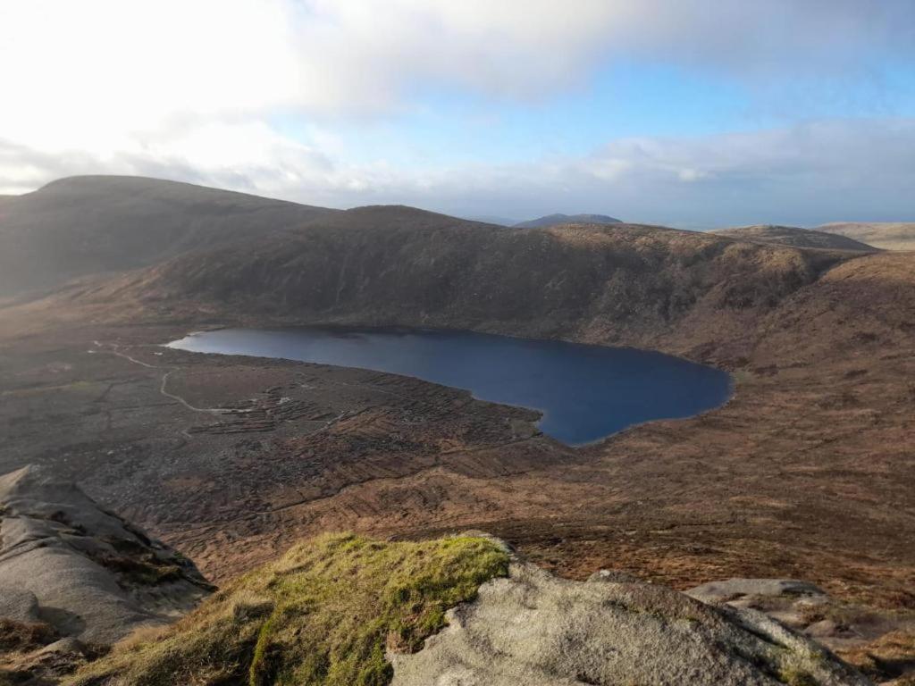 The Mournes View Farmhouse 纽卡斯尔 外观 照片